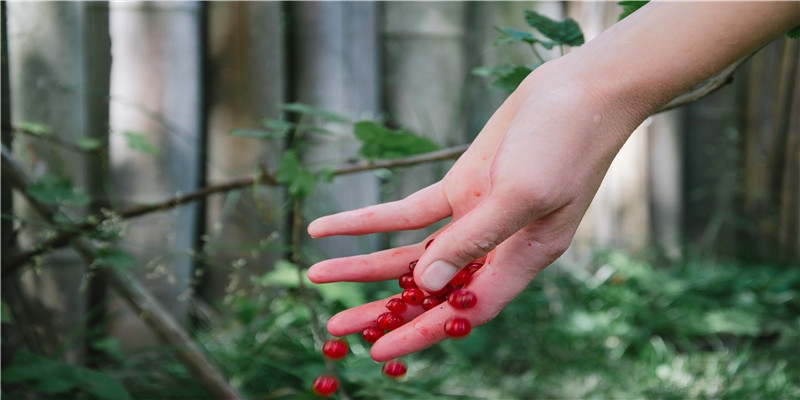 重庆旅行攻略火锅篇：本地人爱吃的10家店铺，一个人来也可以