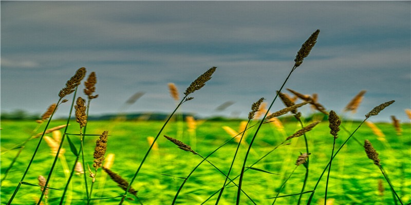 4个问题回答你，品牌到底需不需要虚拟偶像