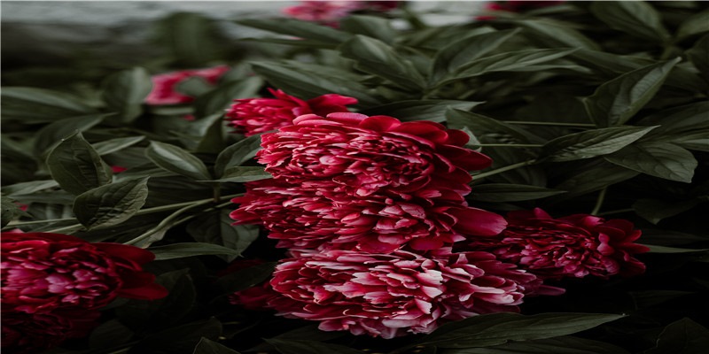 冬天是吃火锅的季节,中国各地火锅大盘点,你都吃过了吗