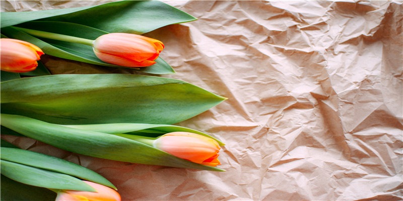 100个关键词预测2022年 丨（下篇）——美妆、零售与商业、新奢生活、健康、工作的50个小趋势