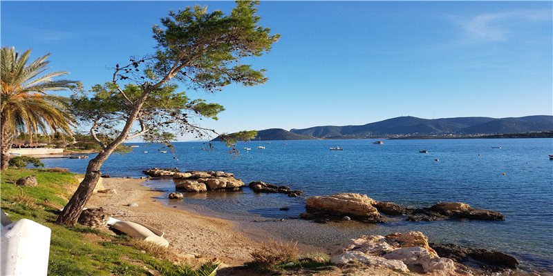 俄罗斯瑞士冬奥打起来了！冰球干架竟是传统，现场群殴太喜感