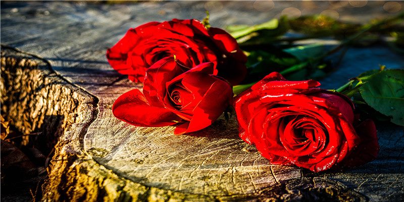 2021牛年大吉~新年可爱头像和壁纸分享 满满的祝福