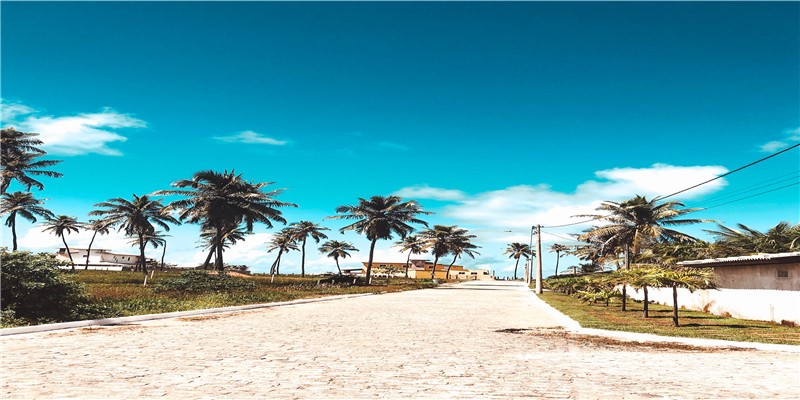 2022年已有12位明星结婚!除了玄彬朴信惠,还有熟悉的他们