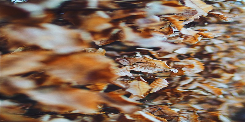 100个关键词预测2022年 丨（下篇）——美妆、零售与商业、新奢生活、健康、工作的50个小趋势