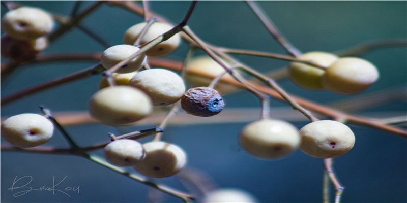 俄罗斯瑞士冬奥打起来了！冰球干架竟是传统，现场群殴太喜感