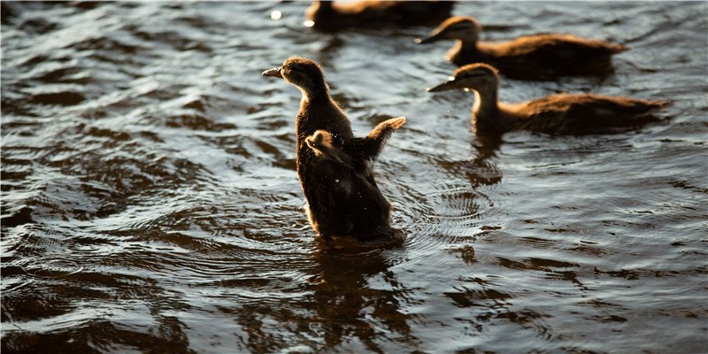 2022年已有12位明星结婚!除了玄彬朴信惠,还有熟悉的他们