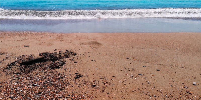 为了忘却的记念：一百年前的“00后”，用墨与血书写了一个时代