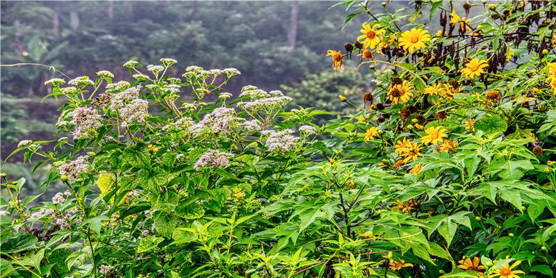 这个涉黑恶犯罪团伙私设“牢房”,中山警方一举打掉
