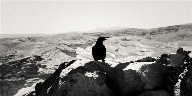 疫情环卫工人儿子的婚礼