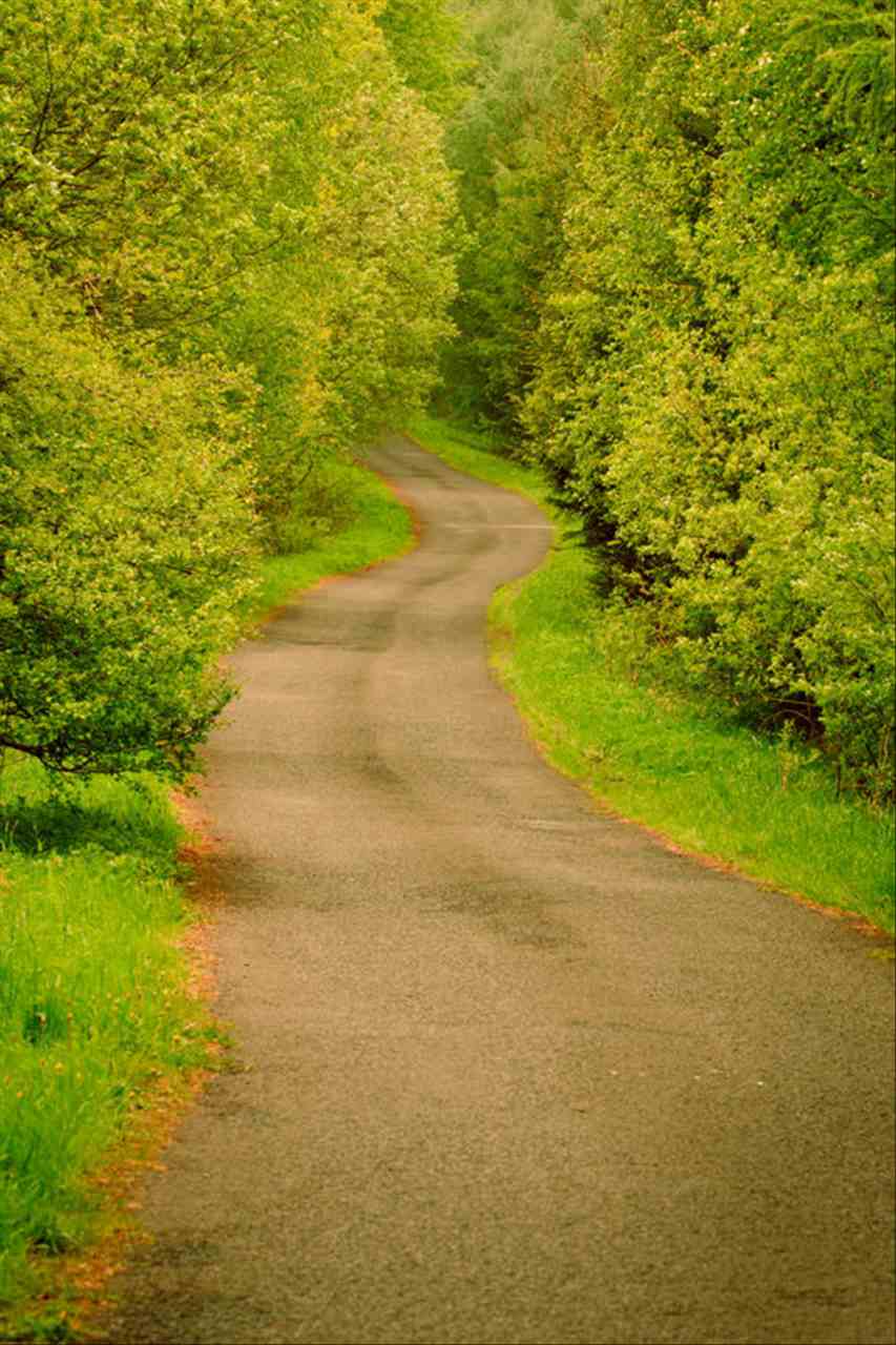 既不违法又解气的整人方法 利用手机号报复的招数