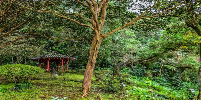 除了吃吃喝喝玩玩乐乐，这样过年也不错