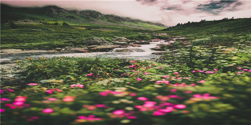 2022年已有12位明星结婚!除了玄彬朴信惠,还有熟悉的他们