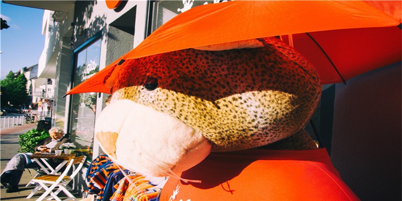 1972年属鼠女命在2019年的桃花运如何