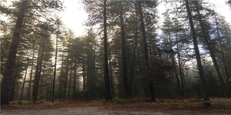 冬天是吃火锅的季节,中国各地火锅大盘点,你都吃过了吗