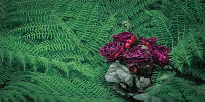 2022虎年正月初四生的孩子才属虎？算命的说立春换生肖，此说对吗