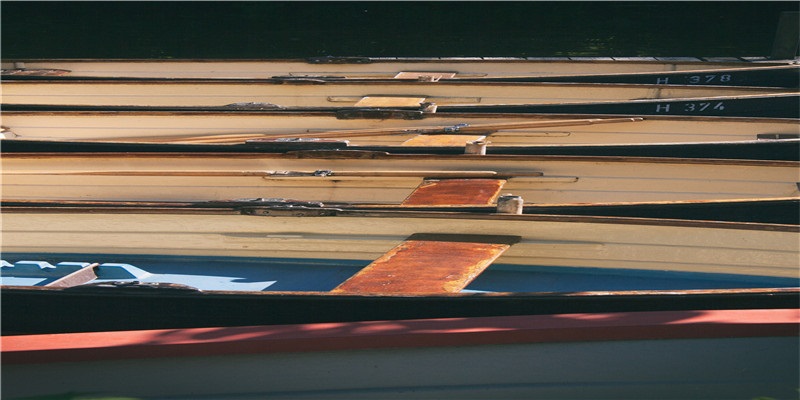 分析1994年属什么生肖？