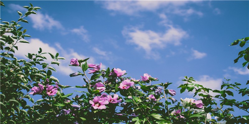 2021年度十佳电视剧，《叛逆者》第8名，榜首年度剧王没争议