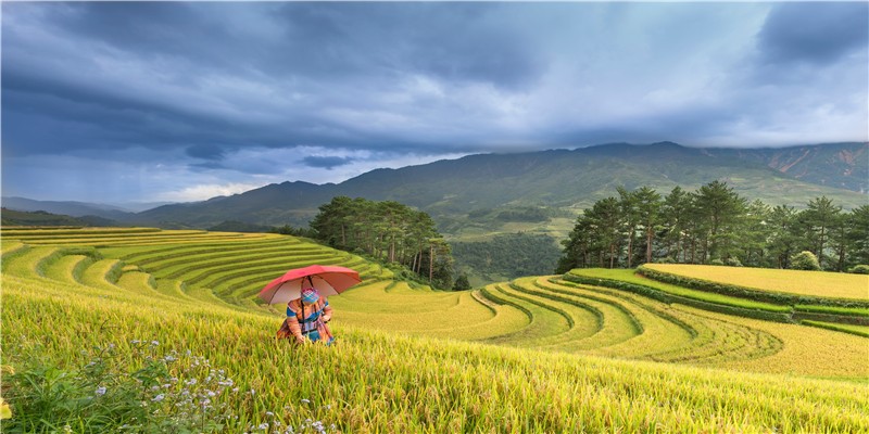 这个涉黑恶犯罪团伙私设“牢房”,中山警方一举打掉