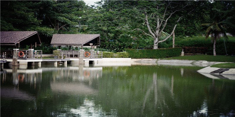 100个关键词预测2022年 丨（下篇）——美妆、零售与商业、新奢生活、健康、工作的50个小趋势