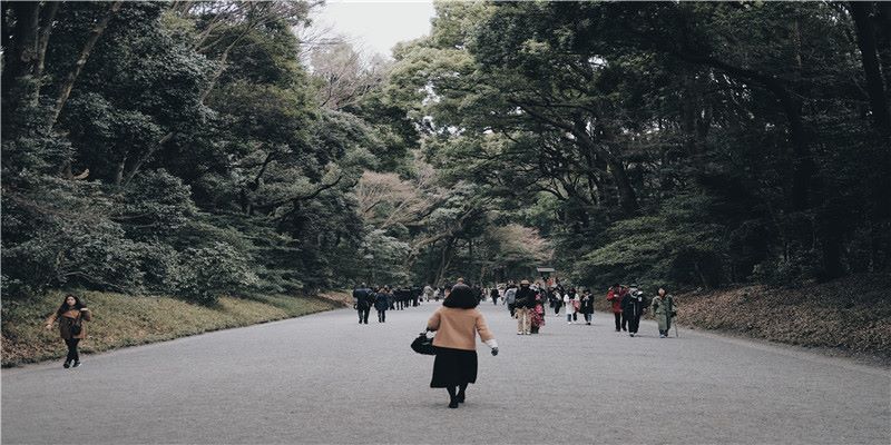 牛年出生的女宝宝这样取名，平安顺遂 喜乐无忧