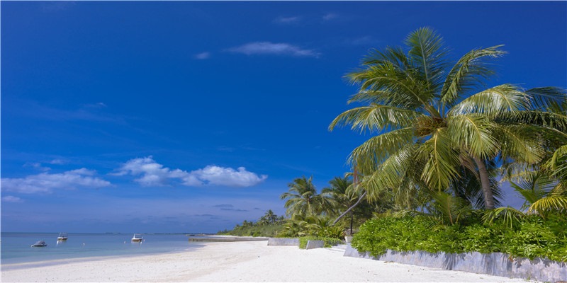 当心“杀猪盘”陷阱！微信投资群200多人大多数是托