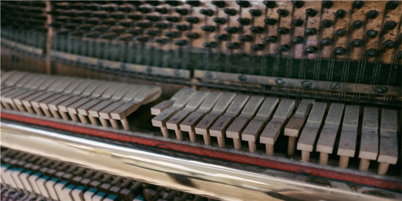 生肖虎和哪个生肖做夫妻，能夫唱妇随，晚年幸福安康！