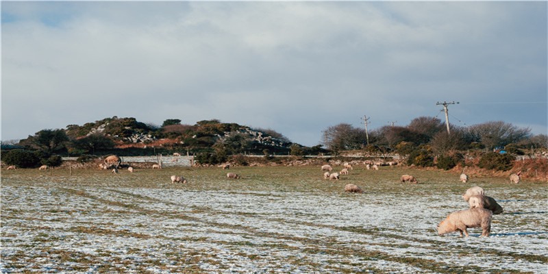 正月初五迎财神 路路财神进万家