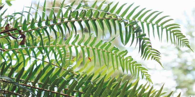 从八字命理教你如何选择职业!很实用