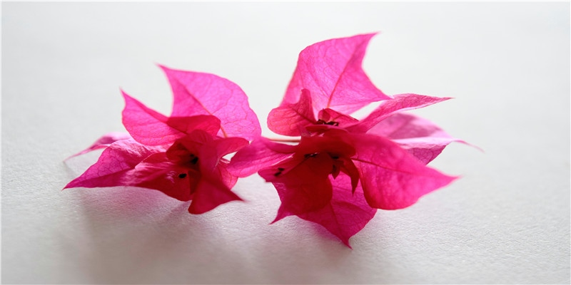 现代人气最高的神仙《财神爷》