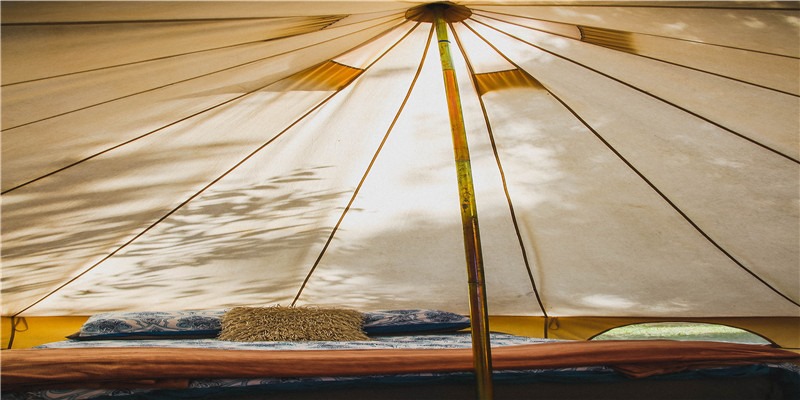 腹有诗书气自华,飞花令里读诗词——100句(学)篇