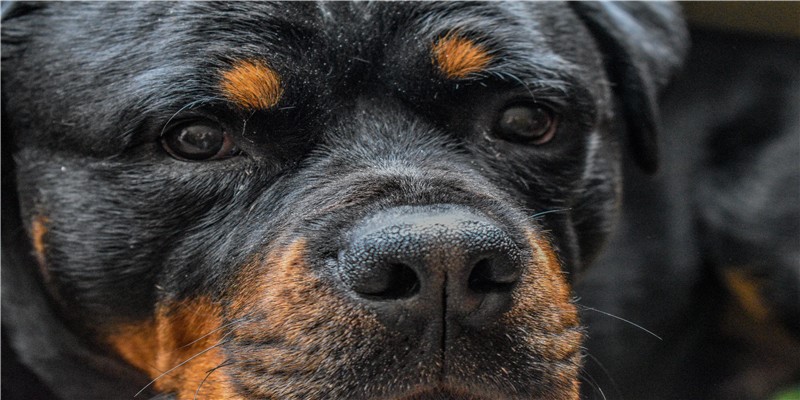 民间供奉的五路财神分别是谁，掌管何处的财源？