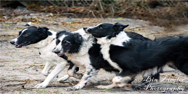 正月初五迎财神，老规矩不能忘，吃5样忌3事，诸事顺利，财源滚滚