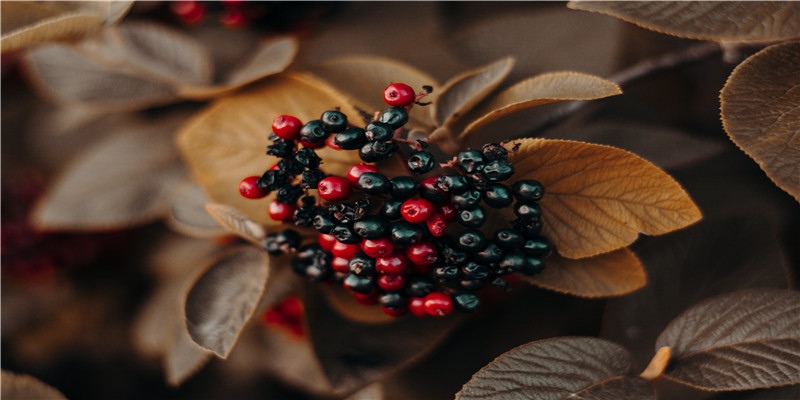 民间供奉的五路财神分别是谁，掌管何处的财源？