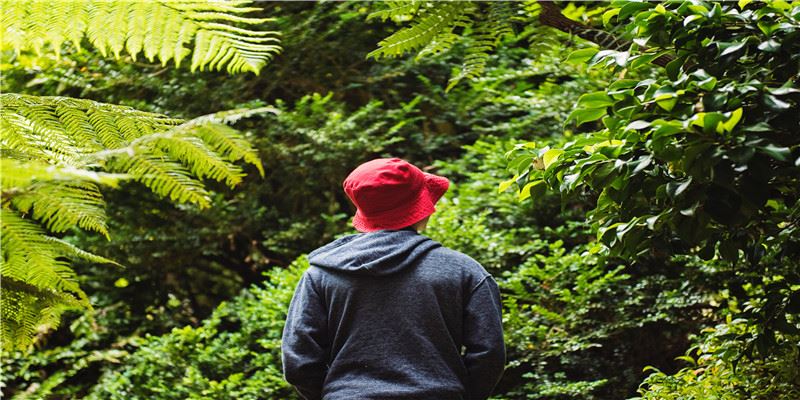 八字格局解析正财格偏财格正印格偏印格正官格偏官格食神格伤官格