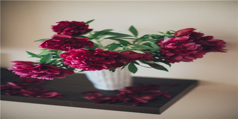 天降财神是什么感觉?来看看43年前英国人拍的这部电影,“财神”长这样