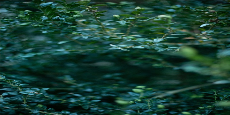 简单7招扭转坏风水 财位禁止堆放家具杂物