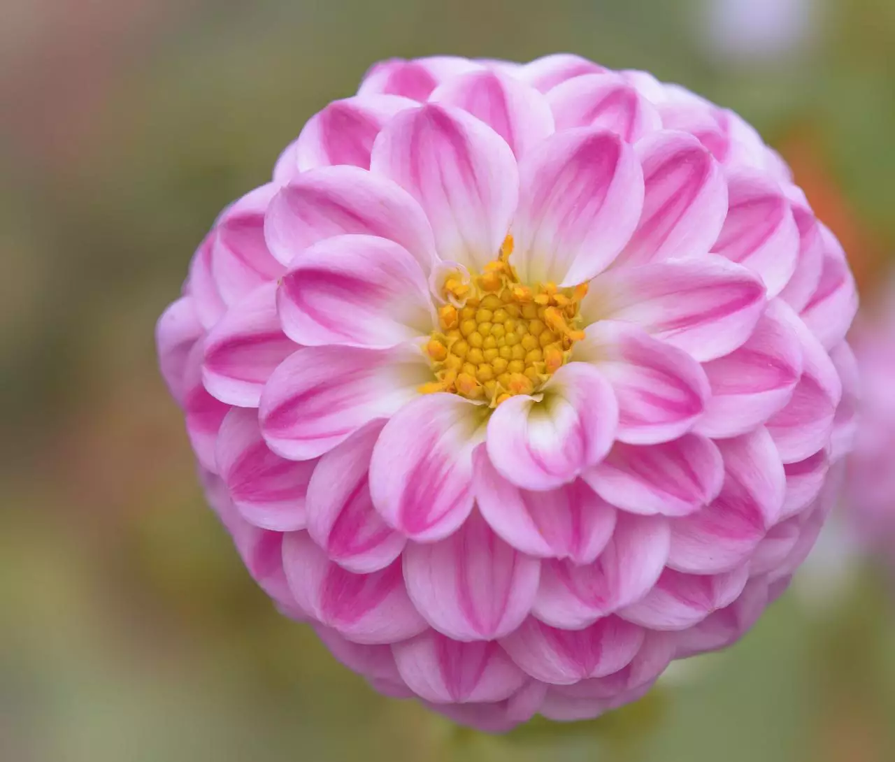 甜到爆的二字情侣网名 最能打动女人的男网名