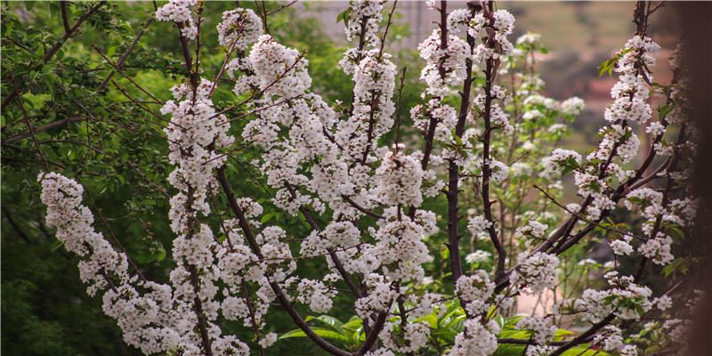 命中有这些财富密码的人必定富贵