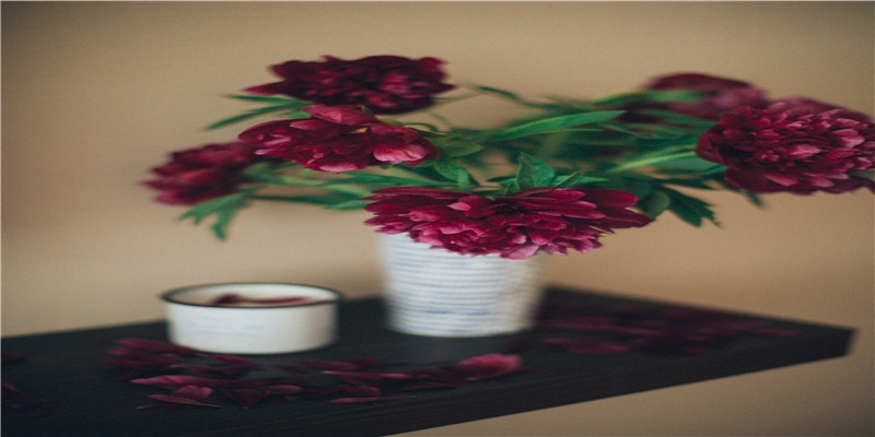 谁说尖下巴才出美人？这11位下巴凹陷还有沟的明星，个个霸气非凡