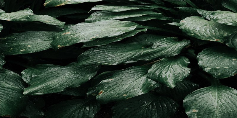 天降财神是什么感觉?来看看43年前英国人拍的这部电影,“财神”长这样