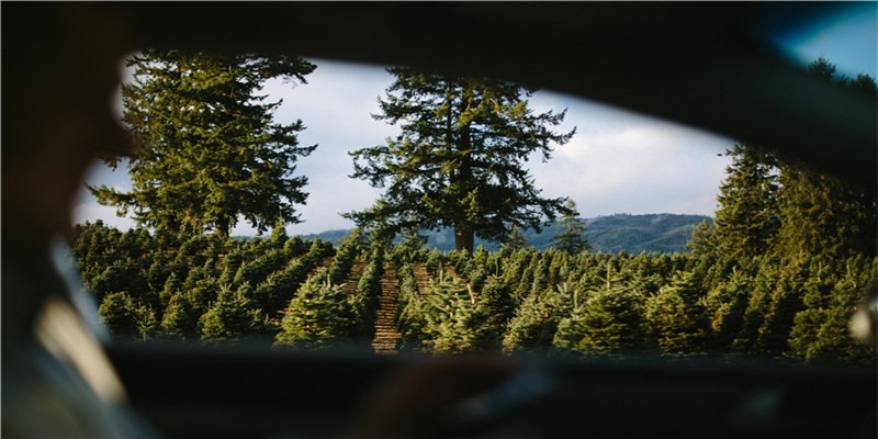 10岁拜师张大千、36岁替前夫“登报征婚”、45岁追求童年偶像，70岁的她传奇仍在继续