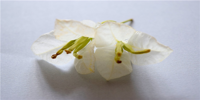 92年女属猴的一生婚姻怎么样 好不好