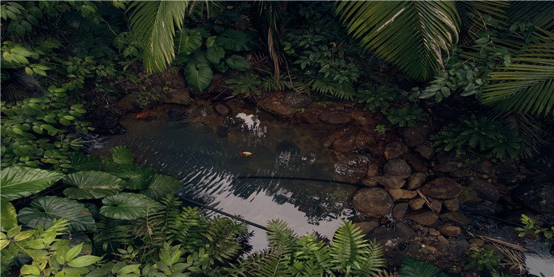 今日黄历运势吉凶，人生日历为你解读11.15