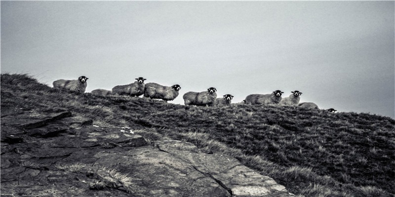 2月18日农历1月25，接五路财神 发八方洪财