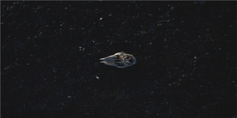 2022虎年除夕春节的朋友圈文案怎么发?看看这100句,都是金句