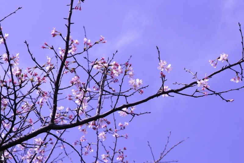 巨蟹男喜欢的四种女人 不要每天给巨蟹男发消息