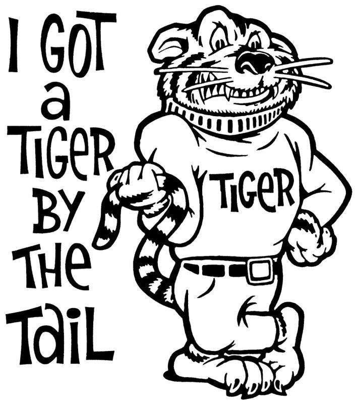 974年属虎女在2022运势