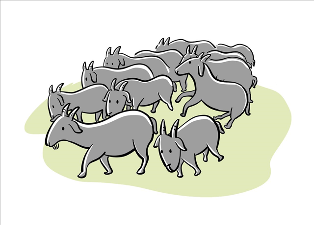 7年属蛇44岁运势2022年运势男 77年蛇男2022年必有一难"