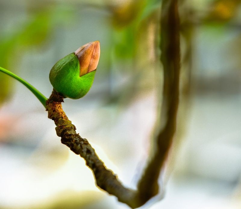 金木水火土五行查询表 生辰八字五行查询