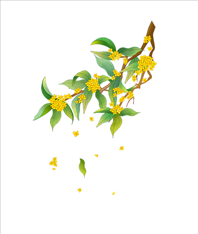 010年属虎五行缺什么